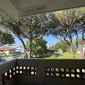 Casa Palma - 300mt Dal Mare Marina di Massa